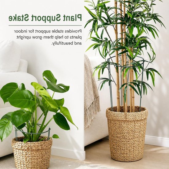 Set van 6 Metalen Halve Plantsteunen voor Klimplanten, Bloemensteunen en Tuinondersteuning voor Potplanten, Pioenrozen, Hortensia's en Groenten (35 x 20 cm) — afbeelding 2