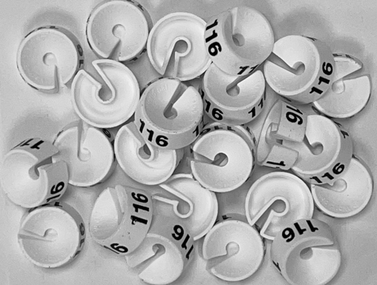 Bleijenberg Maatdopje maat 116 wit - Maataanduiding voor kledinghangers per 25 stuks - Maatringetje Ø 20 mm - Kledinghangers - Kleerhanger - Kapstok - Mark-Brics - wisersizer