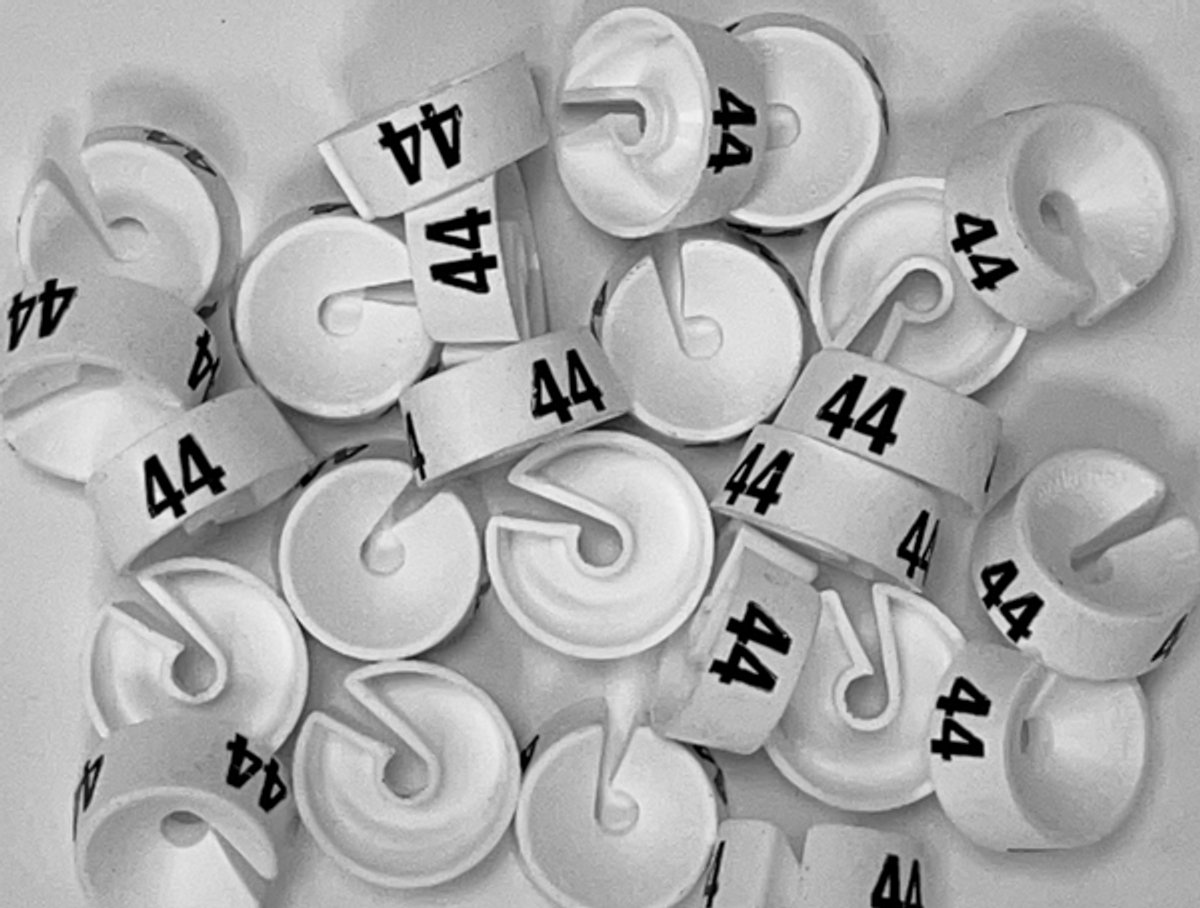 Bleijenberg Maatdopje maat 44 wit - Maataanduiding voor kledinghangers per 25 stuks - Maatringetje Ø 20 mm - Kledinghangers - Kleerhanger - Kapstok - Mark-Brics - wisersizer