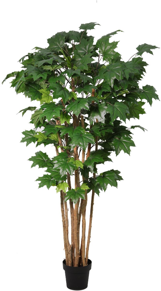 Trendyplants - Kunst Maple Tree - Esdoornboom - Kunstplant - Hoogte 180cm - Potmaat Ø20cm