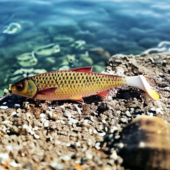 Savage Gear 3D River Roach 10cm - Kunst aas voor snoek, baars en snoekbaars — afbeelding 2