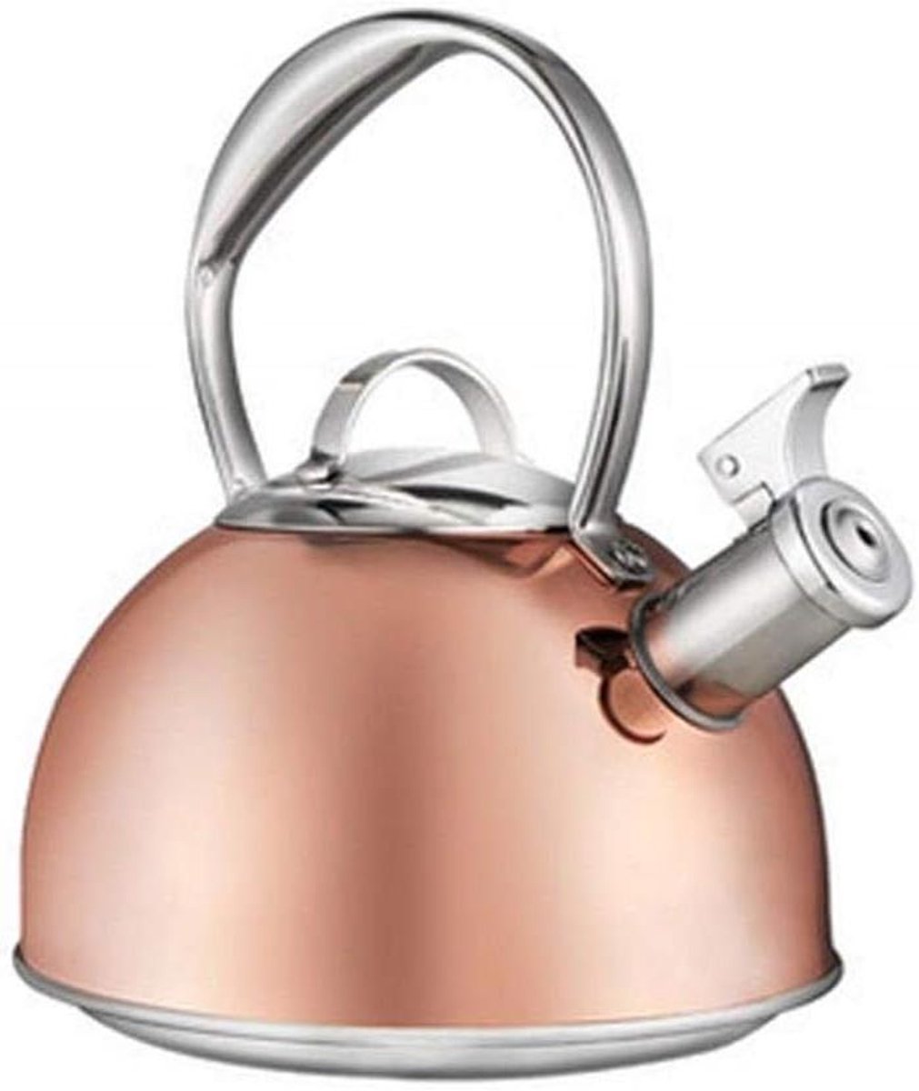 Waterkoker met fluit - Theepot roestvrijstaal - Water verwarmen - Anti-verbrandingshandgreep - 26 liter - Oranje