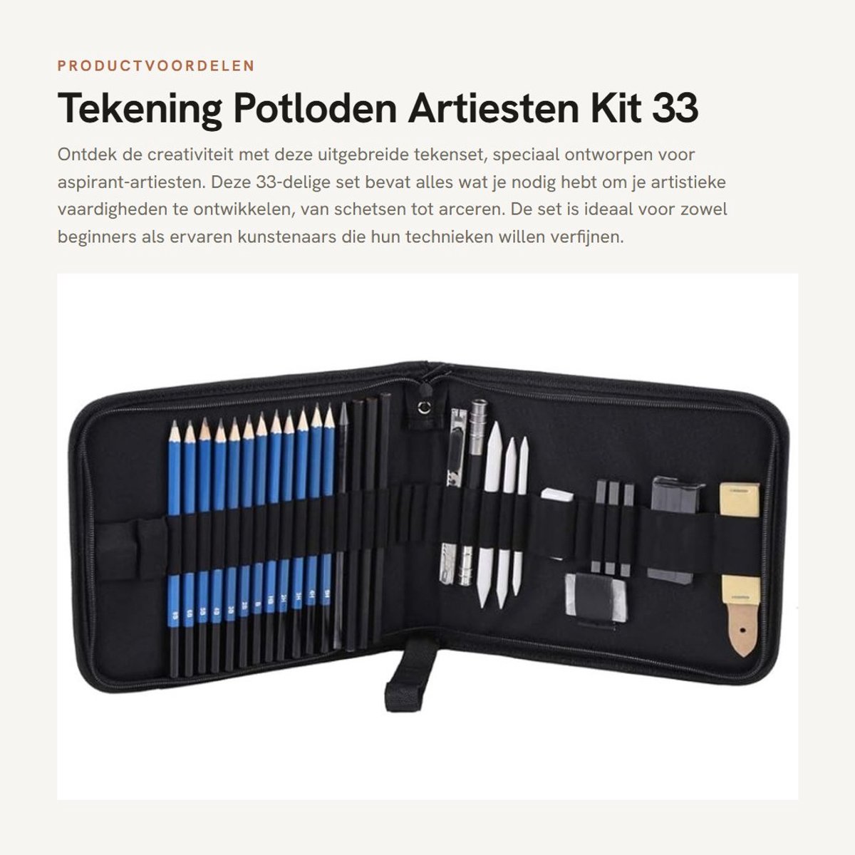 Dailygoods- Tekenmateriaal Professioneel - Tekenpotloden Set 33 Stuks - Schetsen - Grafietpotloden - Houtskool Potloden - Oxford Tas met Ritssluiting