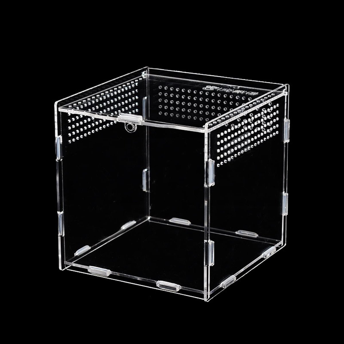 Dailygoods- Voederbox Draagbaar - Transparante Reptielenkweekbak - Insectenvoederbox - 360-Graden Zicht - Ventilatiegaten - 9 x 9 x 9,5 cm - Insectenbak