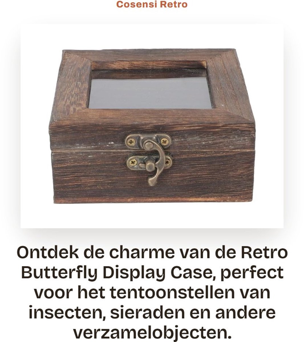 Dailygoods- Insectendisplaybox Retro Stijl - Houten Box met Duidelijke Deksel - 10 x 10 x 4,5 cm - Multifunctioneel voor Verzamelobjecten - Waterdicht en Duurzaam - Collectiebox