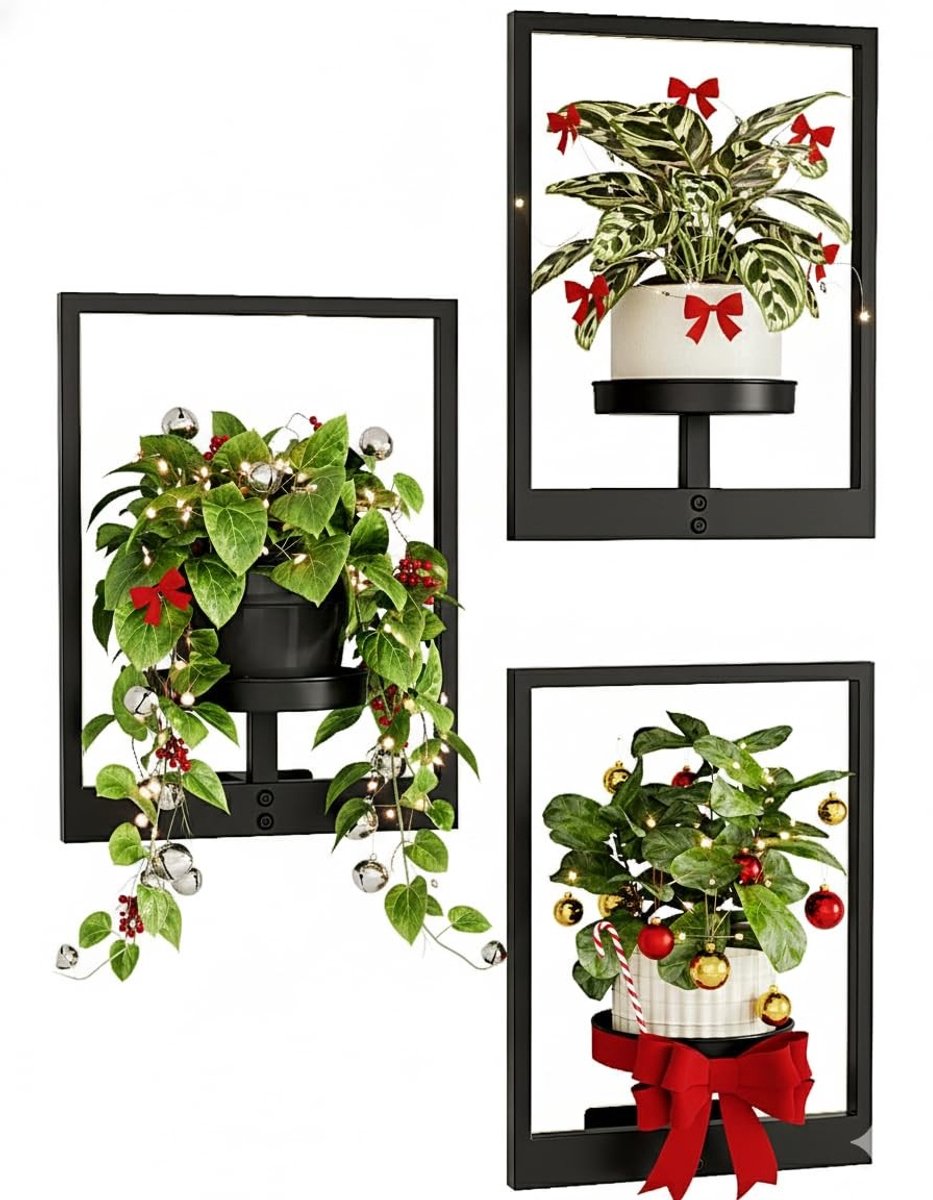 Dailygoods- Wandplantenbakken Uniek Ontwerp - Hangplant - Plantenhaak - Muurdecoratie - Plantenstandaard - 3 Stuks - Plantenhanger