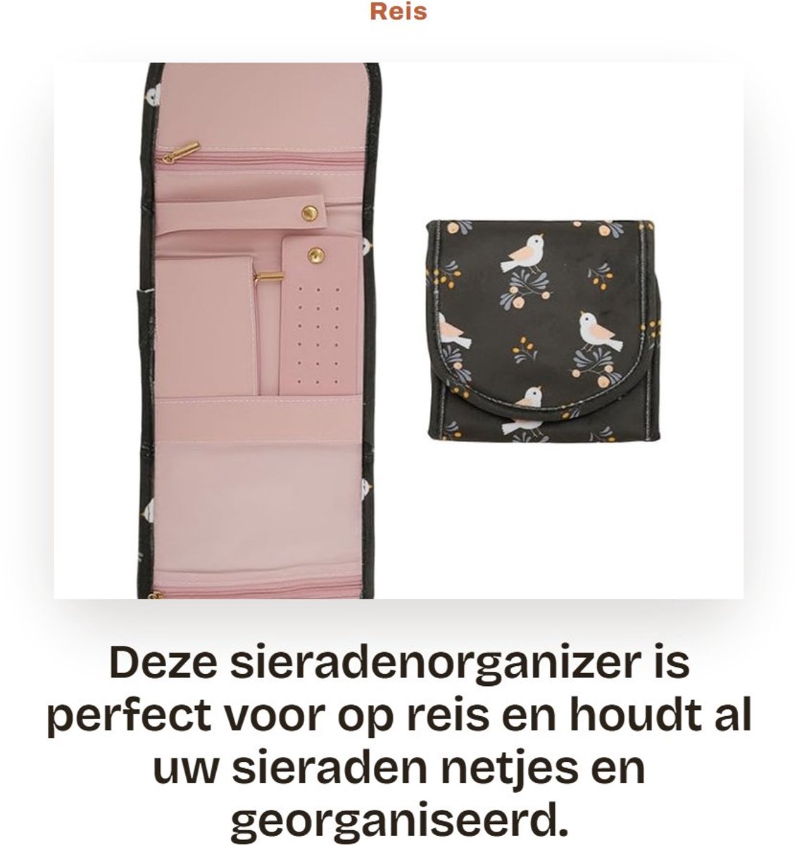 Dailygoods- Sieradenorganizer - Reisaccessoires - Oorbellen/ringen/halskettingen/horloges - Fluweel - Klein - Gevoerd ontwerp - Sieradenetui