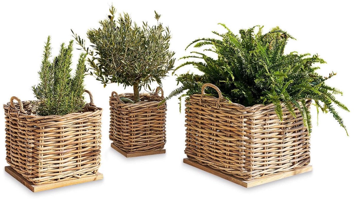 LOBERON Mand set van 3 Chalet bruin