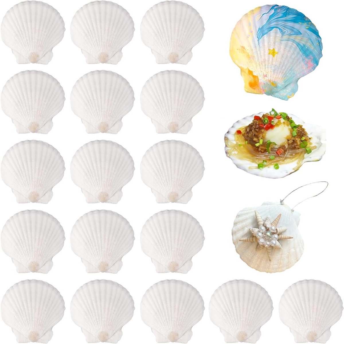 Set van 20 Witte Schelpen voor Decoratie en Creatieve Projecten, Groot formaat voor Verf en Feestjes (5-7 cm)