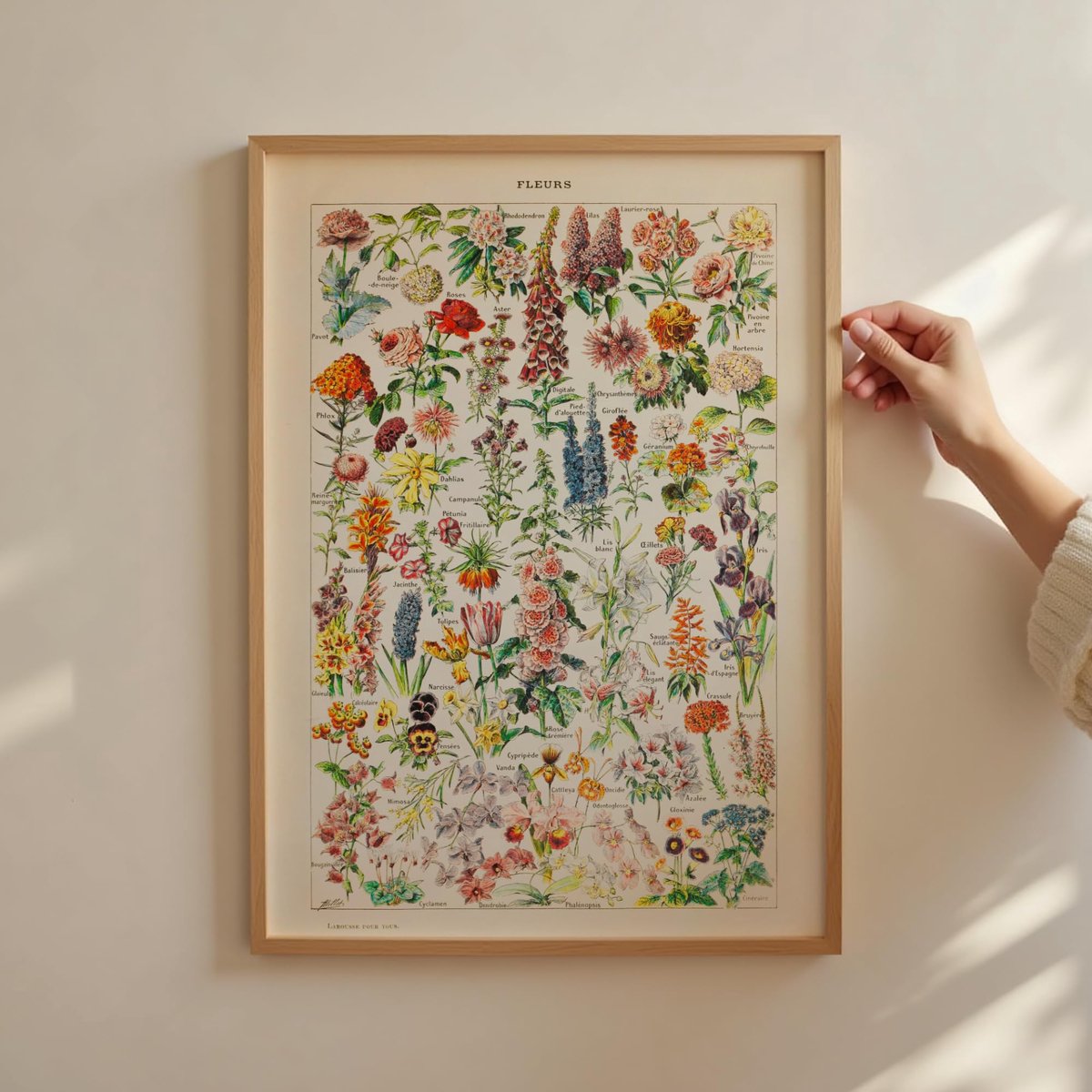 Poster - Bloemenafbeelding - 30x40 cm - Papier