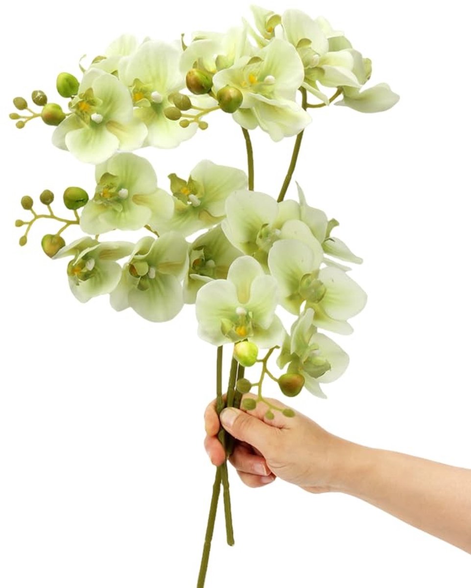 NTHProducts - Kunstbloemen - Kunstorchidee - Realistische uitstraling - Groen - Decoratie voor huis en tuin - Perfect voor evenementen - Set van 4