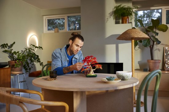 Man met een LEGO Japanse esdoorn bonsaiboompje met rode en oranje bladeren in een woonkamer.