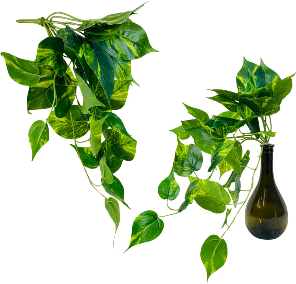 Inspiruj - Groene Philodendron - Hangende Bladeren - 45 cm