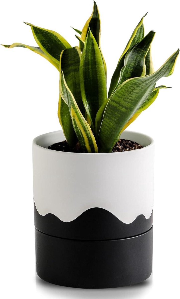 Zelfbewaterende plantenpot - Bloempot met waterreservoir - Planten Verzorgen - Geïntegreerd watergeefsysteem - 15 cm diameter - Wit en zwart