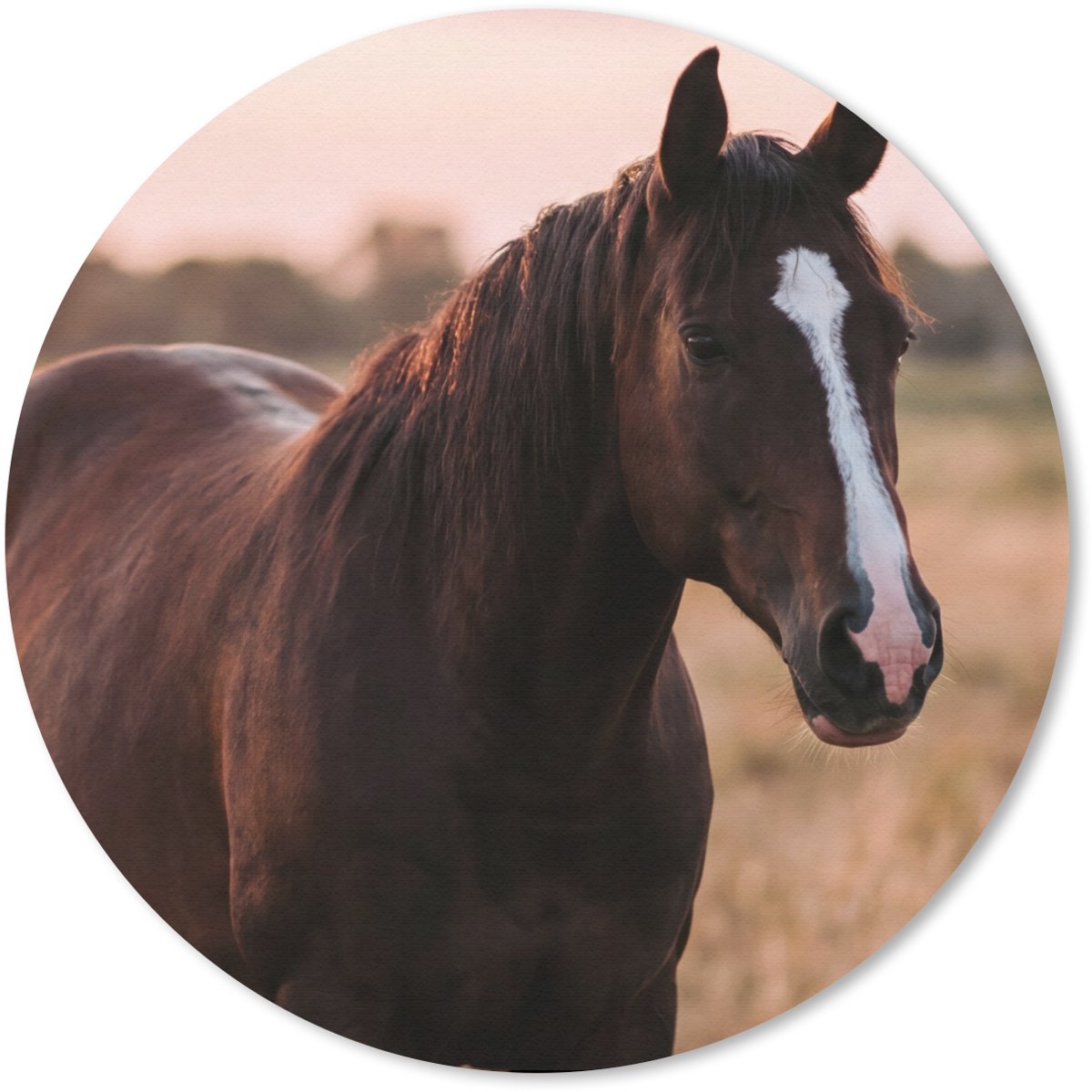 Muismat rond 40x40 cm - Mousepad Paard - Zonsondergang - Bruin - Ronde muismatten