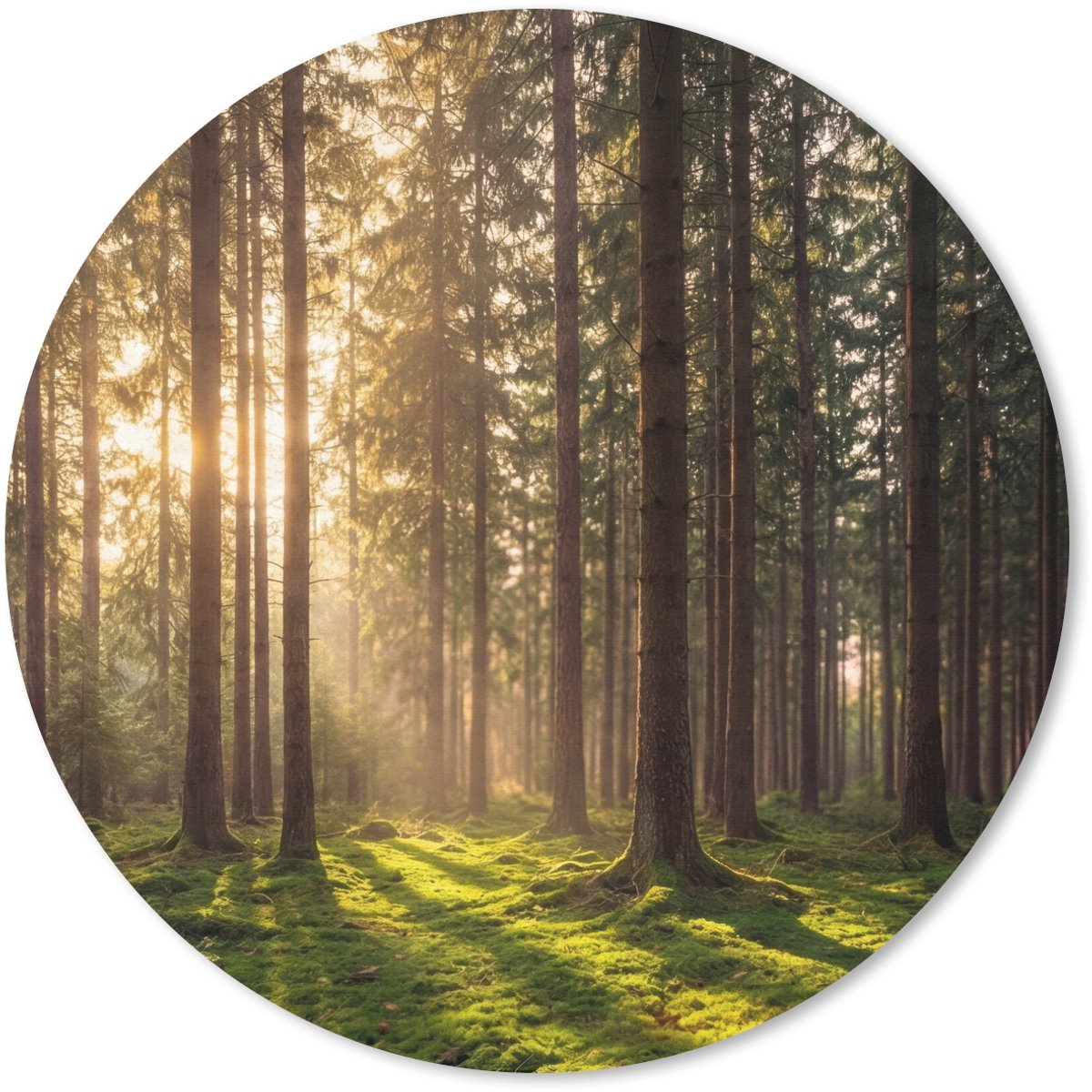 Muismat rond 20x20 cm - Mousepad Bos - Gras - Zonlicht - Ronde muismatten