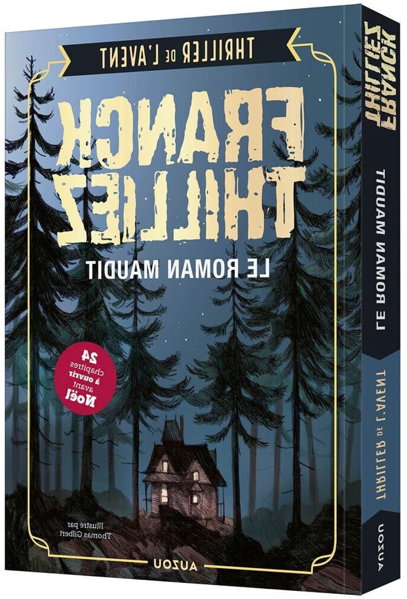 Thriller de l'avent - Roman maudit - Spannende lectuur - Interactief mysterie - 15.4 x 2.7 x 21.2 cm
