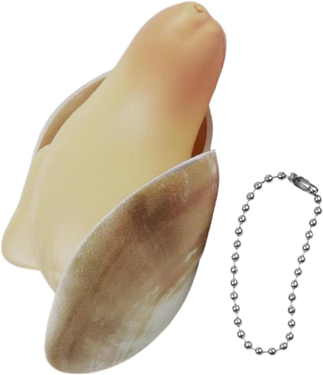 Waterspeelgoed Kinderen - Spuitdier Schelp - Buiten Spelen - Interactief Drukknop - 9 x 4 x 4 cm - Levendige Tinten