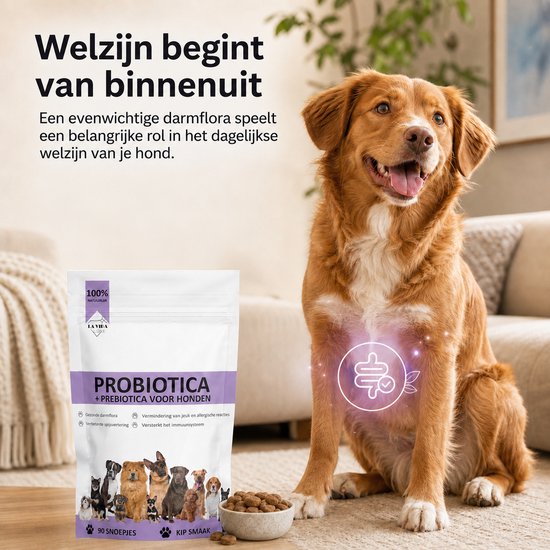 Een zittende bruine hond kijkt blij, naast een zak "Probiotica + Prebiotica voor Honden" en een bakje snoepjes.