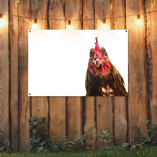 Affiche de jardin gros plan coq 120x80 cm - Toile de jardin / Toile d'extérieur / Peintures d'extérieur (décoration de jardin)