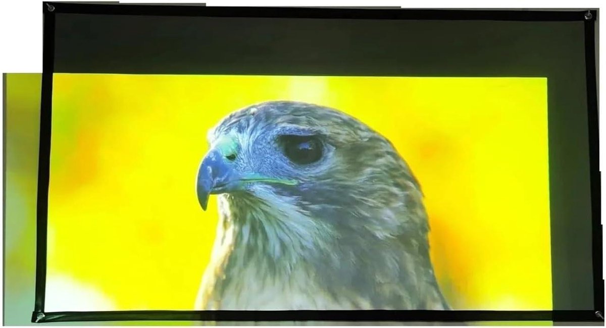 Projectiescherm - Scherm Beeldscherm - Films Kijken - Metaal Reflecterende Stof - 60 Inch - Wit