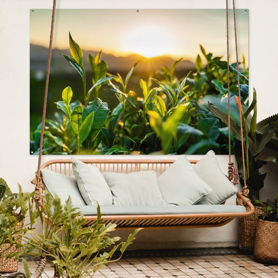 Tuinposter 180x120 cm - Tuindecoratie Zon verlicht de bladeren van theeplanten op een theeplantage - Poster voor in de tuin - Buiten decoratie - Schutting tuinschilderij - Tuindoek muurdecoratie - Wanddecoratie balkondoek