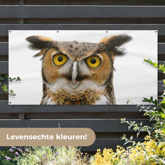 Affiche clôture Hibou - Vogel - Portrait - 200x100 cm - Toile de jardin