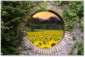 Affiche de jardin - Tournesol - Vue - Jardin - Décoration de jardin - Toile de clôture - Arbres - 120x80 cm - Champ de fleurs - Toile de jardin
