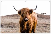 Affiche jardin - Toile jardin - Posters de jardin extérieur - Highlander écossais - Paysage - Vache - Marron - Animaux - Nature - 120x80 cm - Jardin
