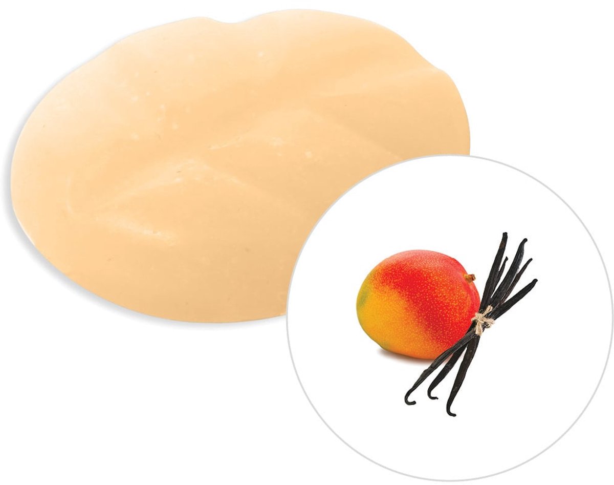 Scentchips Vanille & Mango - Geurblokjes - Huisparfum - Geurchips - Waxmelts - Geschikt voor Geurbrander en Waxbrander - S - 8 Stuks Oranje