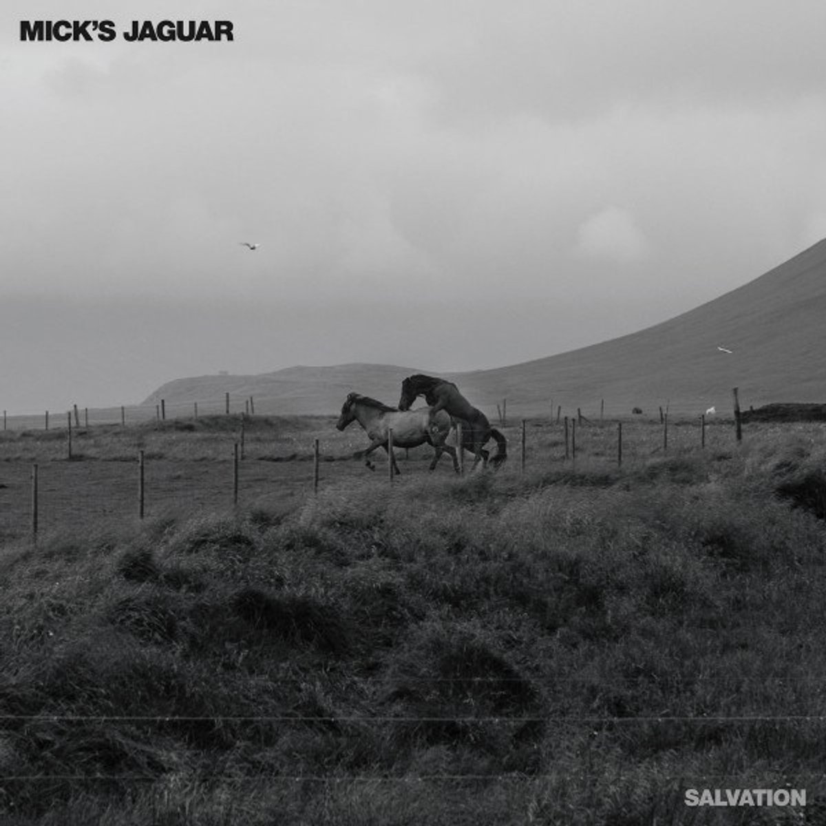 Mick's Jaguar - Salvation (LP) (Coloured Vinyl)