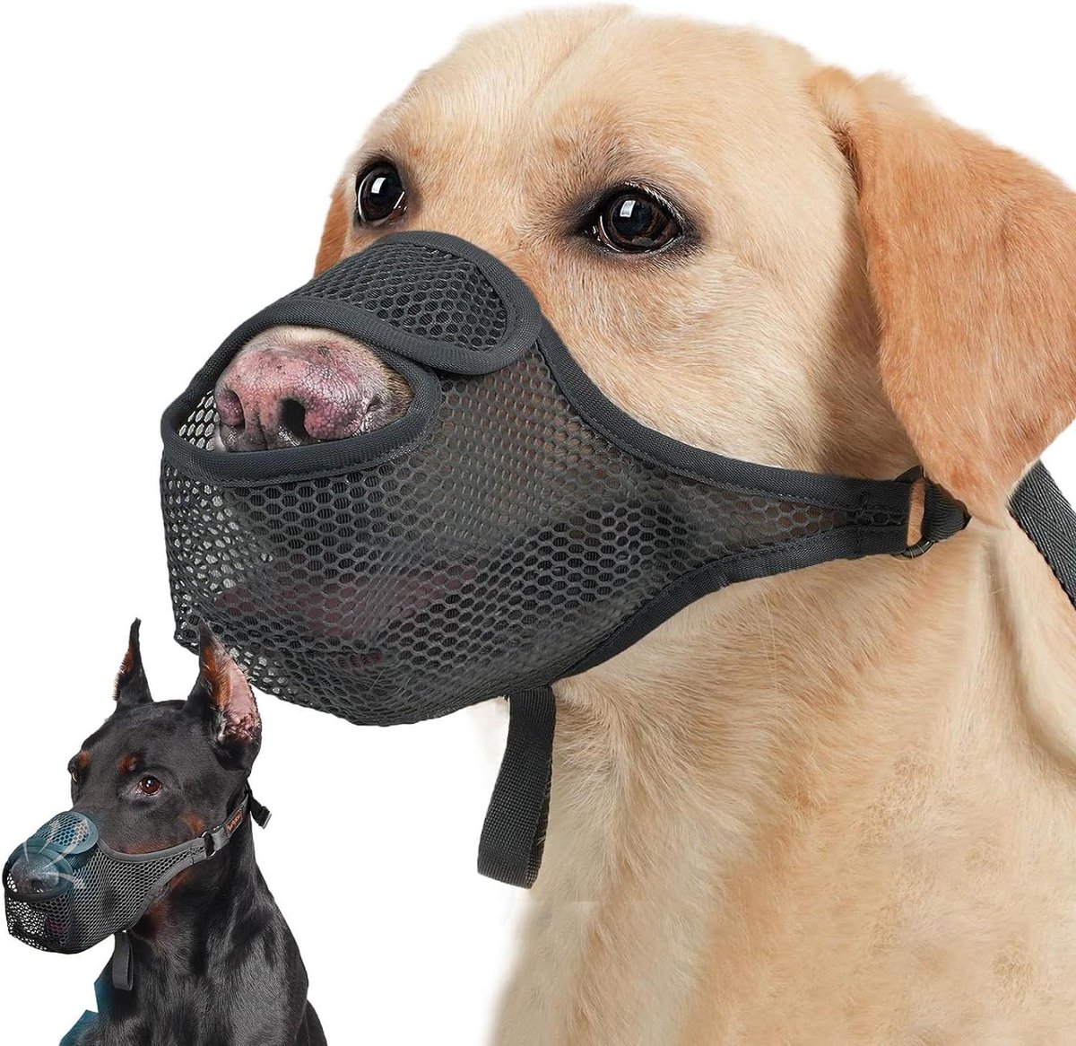 Honden Muilkorf - Snuitmasker Hond - Veilig Wandelen - Verstelbaar Ontwerp - Maat 2XL - Zwart