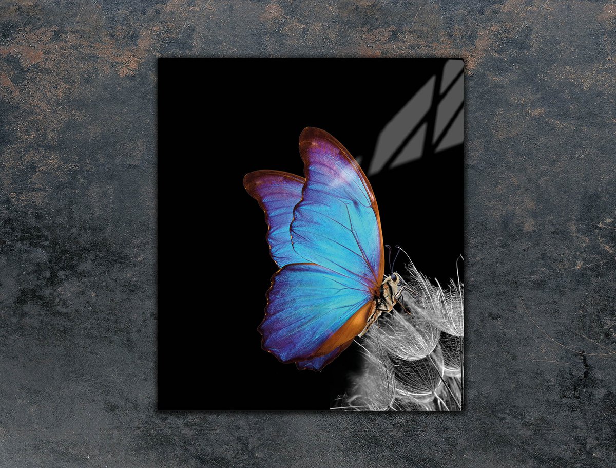 TMK ArtDeko Serie - Snijplank - 45x52 cm - Glas - Multifunctioneel