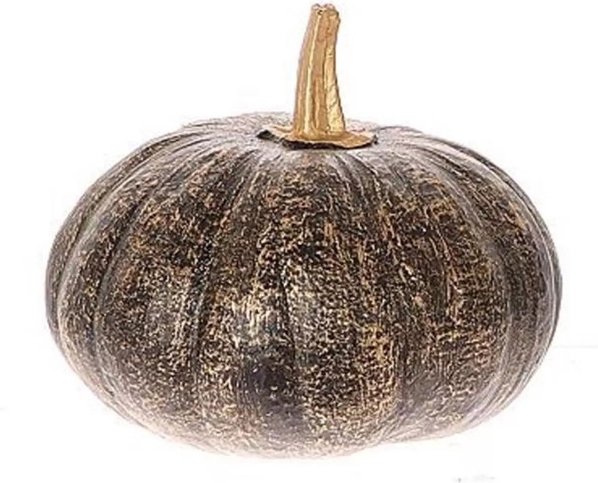 HBX Natural Living Deco Pompoen Terracotta Zwart