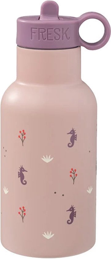 Warner Bros Bugs Bunny Thermosfles Roestvrij Staal BPA-vrij Voor Warme en Koude Dranken Fles Voor Kinderen en Volwassenen Waterfles voor School Fitness Outdoor 500 ml