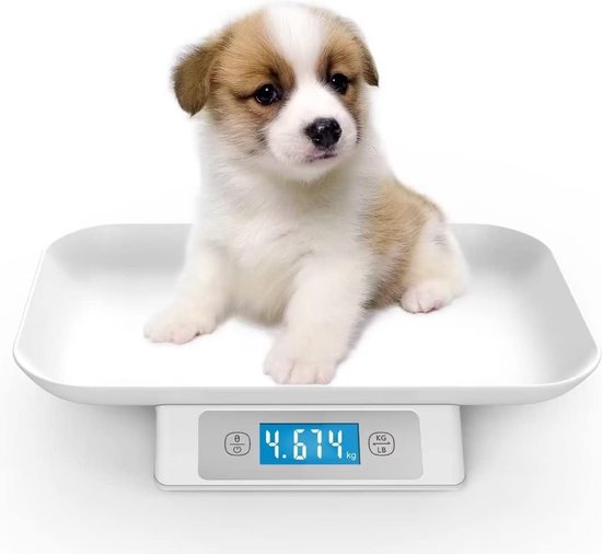 Dierenweegschaal roestvrij staal, dierenweegschaal voor honden, hondenweegschaal, veterinaire weegschaal, pakketweegschaal, platformweegschaal, 300 kg, 103 cm x 53 cm
