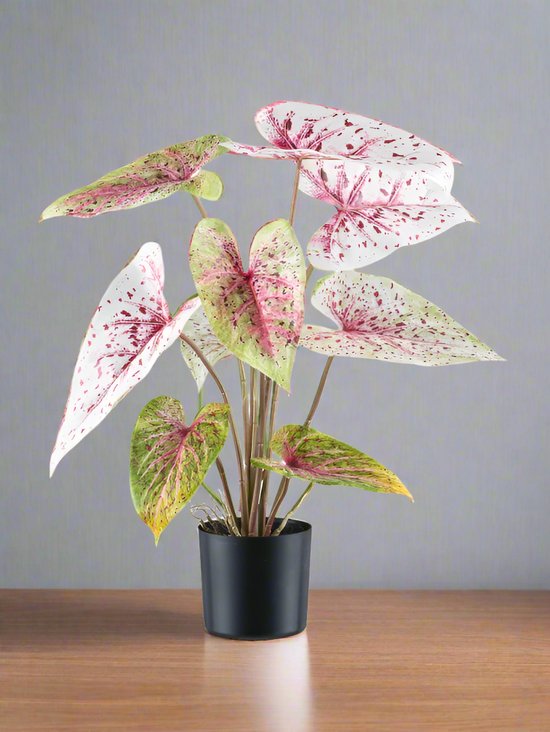 vinnyooc 12 stuks kunstplanten, grasmat, 40 cm x 60 cm, inkijkbescherming, wanddecoratie, tapijt, gazon, planten, muur, plantenwand, groen, kunstplanten, kunstvaren, bladeren voor landschapsdecoratie