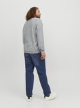 Man met blauwe jeans, grijze trui, witte sneakers. Achteraanzicht.