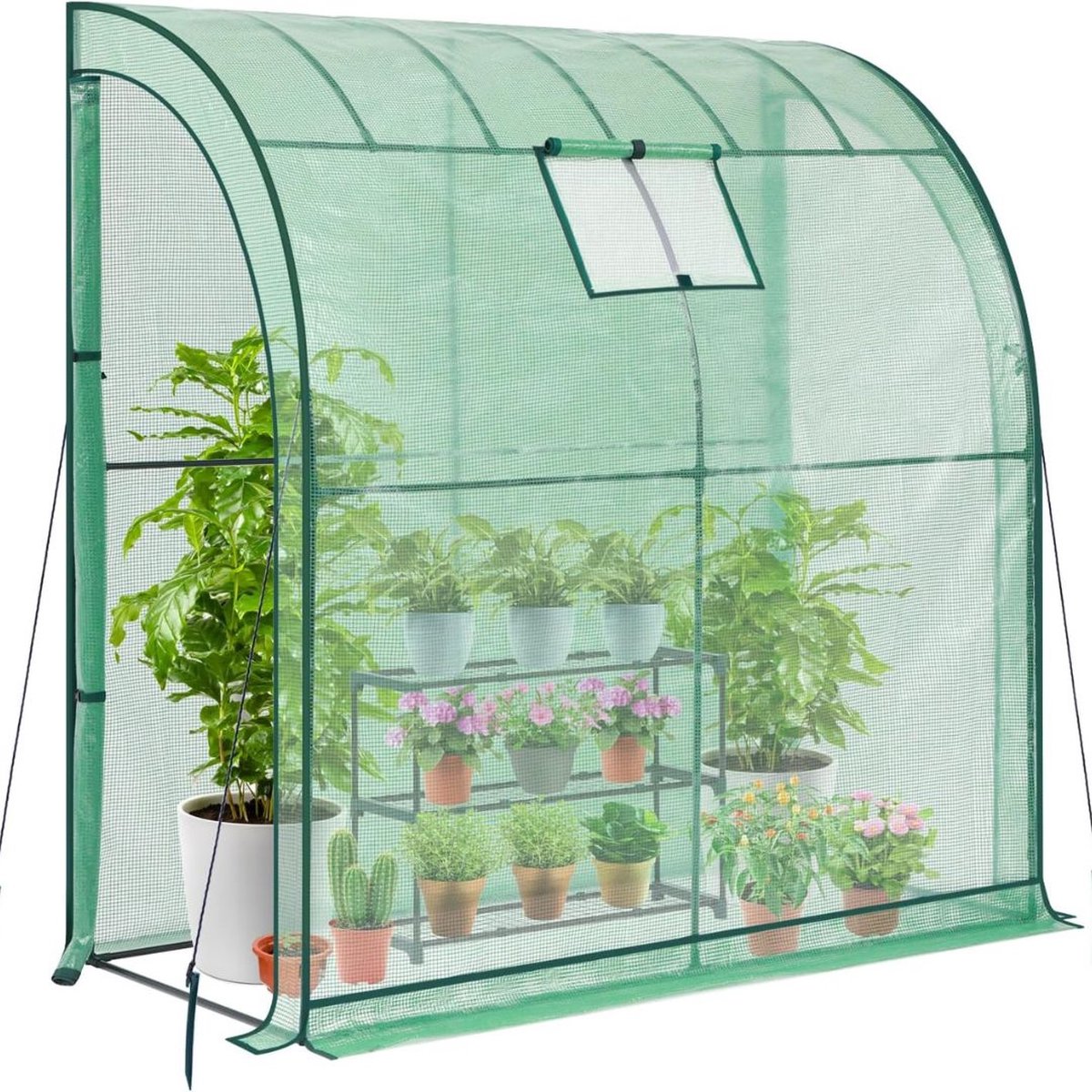 ApexArte® Tomatenkas - Tomatenserre - Kweektent