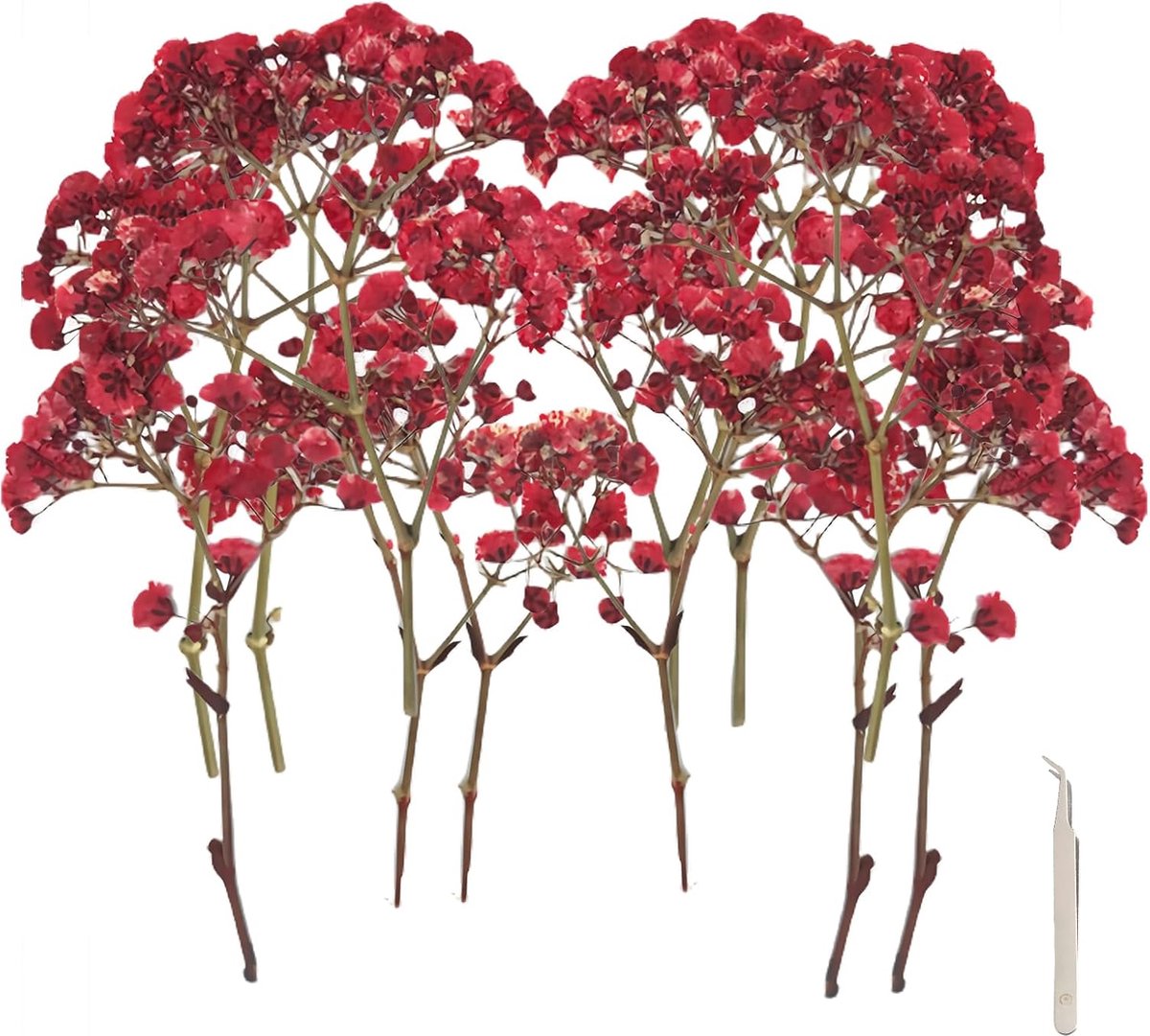 JGS ® Droogbloemen Set van 120 Stuks voor Creatieve DIY Decoraties en Sieraden