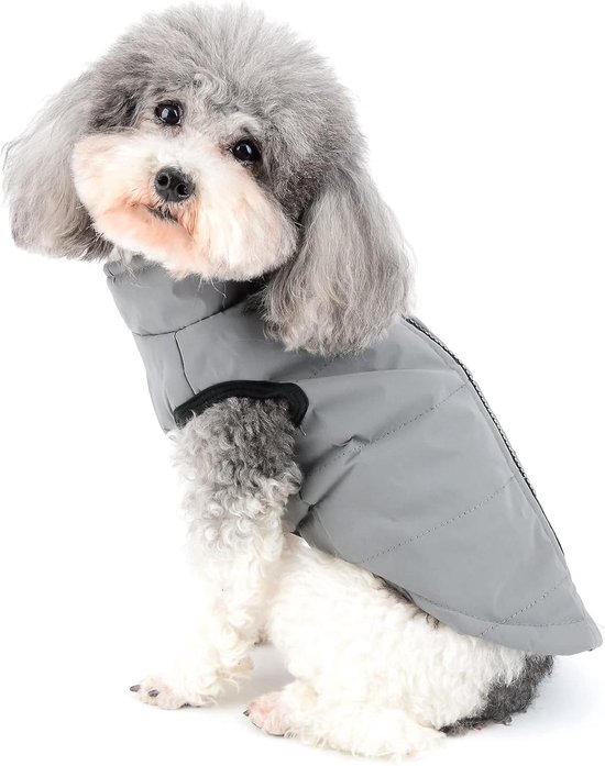 Een kleine hond met grijs pluizig haar zit, draagt een gewatteerde grijze jas met zwarte biezen.