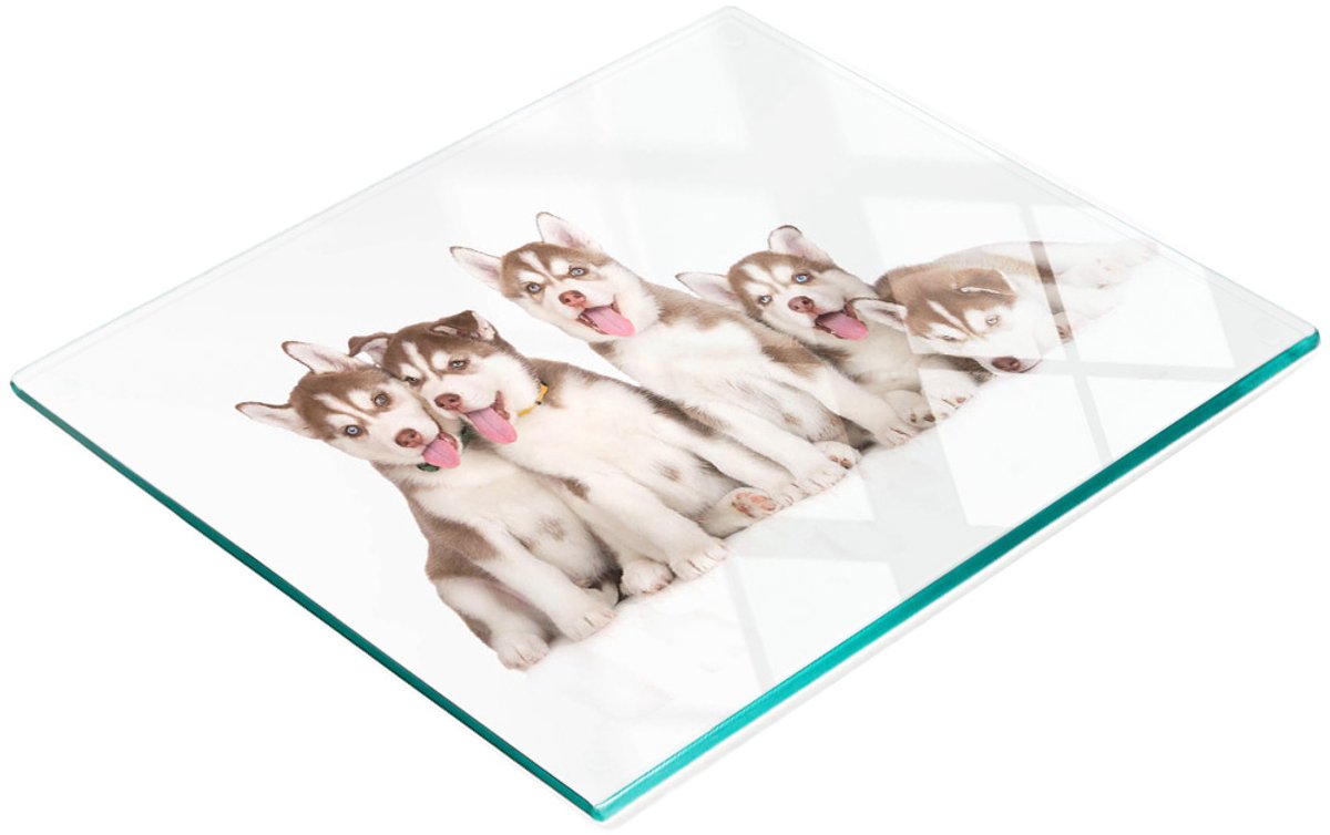 Decoratieve glazen keukensnijplank met huskypuppy's, 60x52 cm