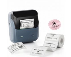 Niimbot B31 - Labelprinter - Labelmaker - Bluetooth - Print 