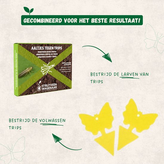 Trips Insecten Strijtveen & Wagenaar Combipakket - Aaltjes tegen Trips 10m² + 12 ...