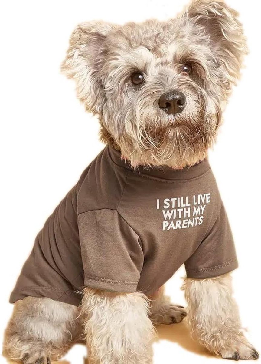 Ademend Hondenshirt voor Kleine tot Middelgrote Honden en Puppy's