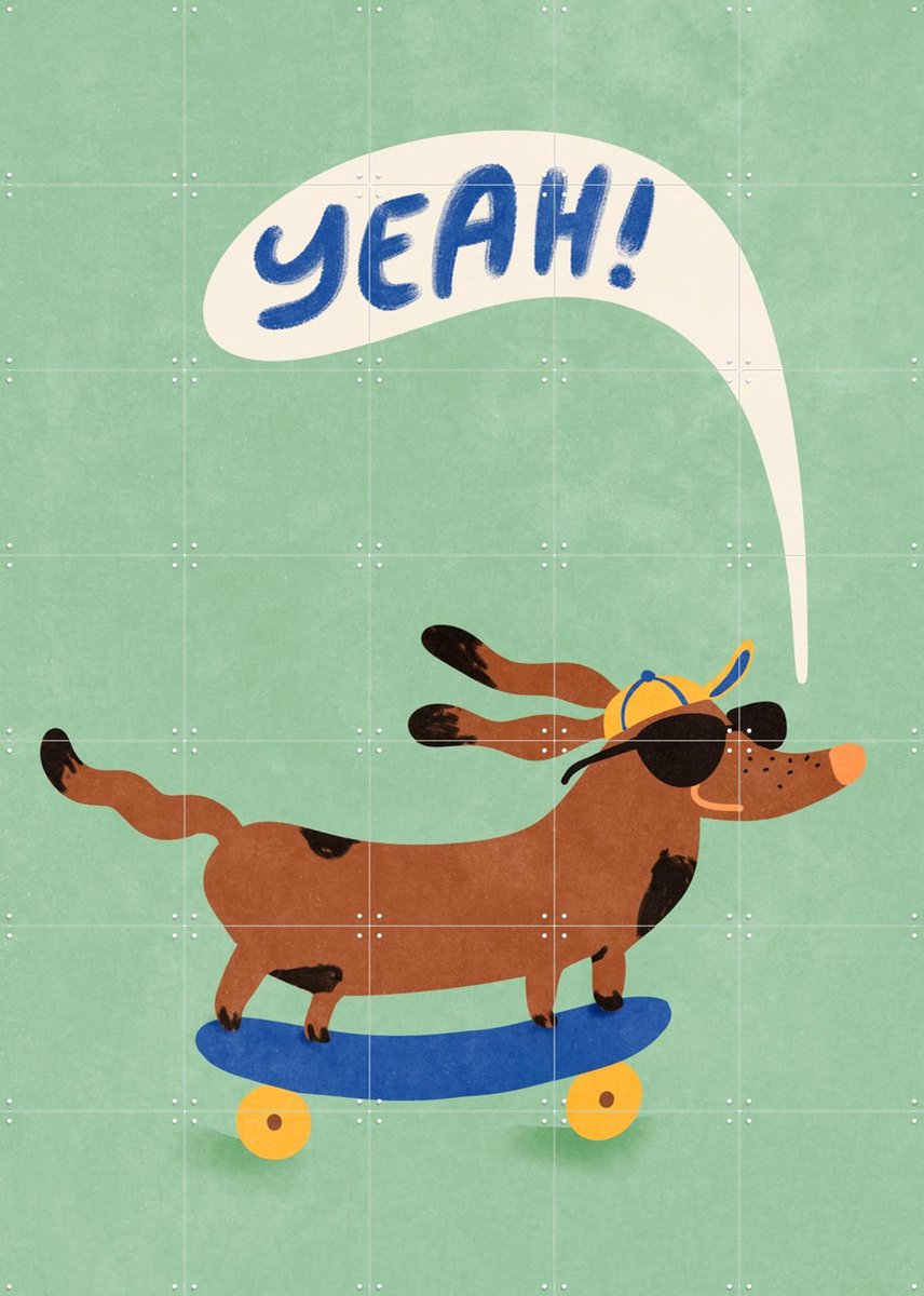IXXI Cool Dog On Skateboard, Raissa Oltmanns - 100 x 140 cm - Gratis ophangtool - Grote wanddecoratie en posters - Illustraties, Speels, Kleurrijk