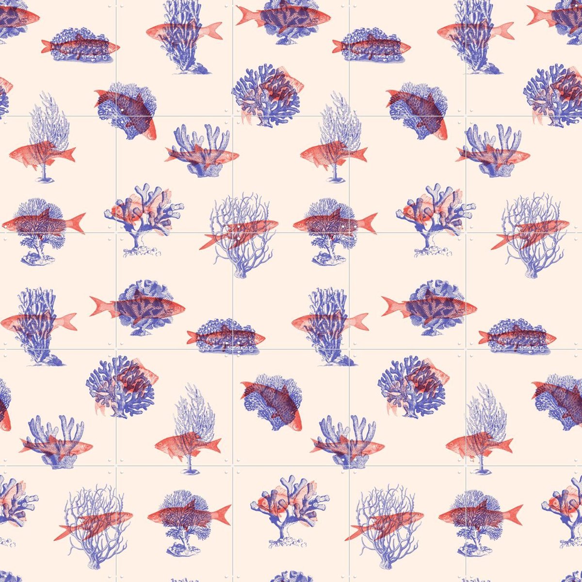 IXXI Where they belong Fish & Corals, Florent Bodart - 100 x 100 cm - Gratis ophangtool - Grote wanddecoratie en posters - Grafisch Ontwerp