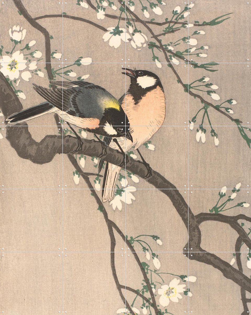 IXXI Koolmezen op bloesemtak, Ohara Koson & Rijksmuseum - 80 x 100 cm - Gratis ophangtool - Grote wanddecoratie en posters - Houtsnede, Ukiyo-e