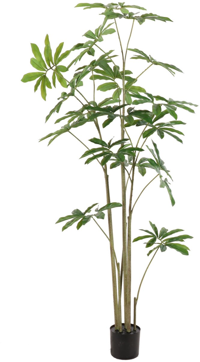 NeverLeafs Philodendron kunstplant 180 cm