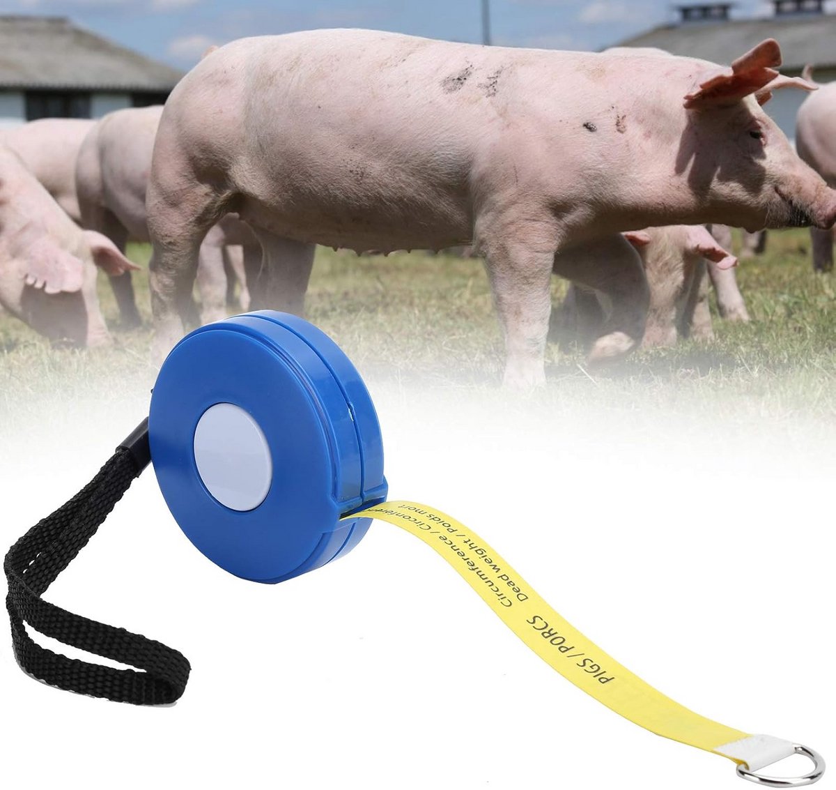 Meetlint voor Lichaamsgewicht en Borstomvang Vee en Varkens